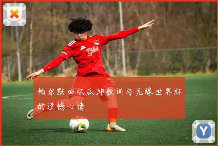 帕尔默回忆瓜帅教训与无缘世界杯的遗憾心情