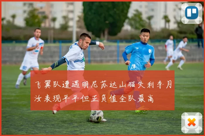 飞翼队遭遇明尼苏达山猫失利李月汝表现平平但正负值全队最高