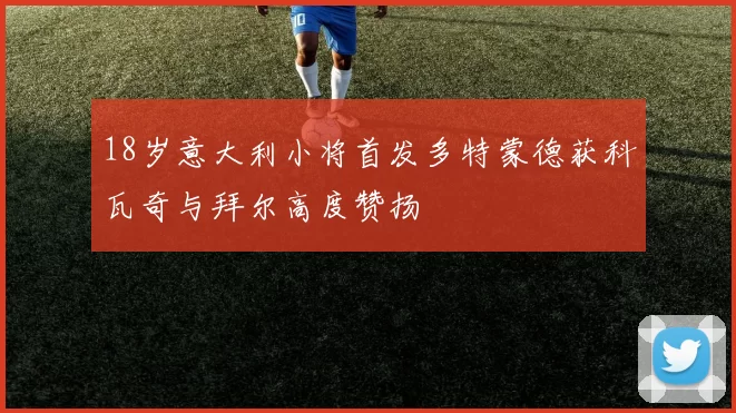 18岁意大利小将首发多特蒙德获科瓦奇与拜尔高度赞扬